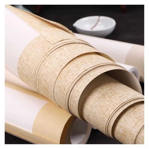 MIUYTRN Chinese Rice Paper Card Papel Arroz Calligraphy Painting Cards Thicken Raw Xuan Paper Lens Card Mounting Painting Paper Cards cuicui(A)