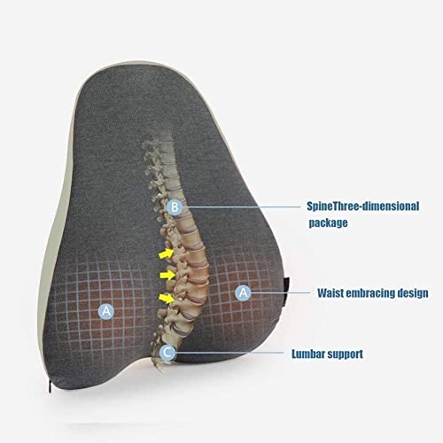 GIENEX Lumbar Support Pillow for Office Chair, Back Support Pillow, Fits The Waist Curve Memory Foam Back Cushion, Ergonomic Back Support Pillow for Car Seat, Wheelchair