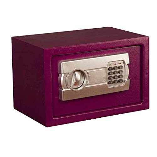 QWERAXZG Password Safe，Electronic Steel Safe with Keypad, 2 Manual Override Keys Money,for Home, Business or Travel