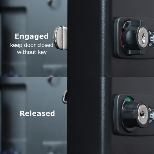 Carl Heavy-Duty Key Lock Box with Combination or Keyed Access – Wall-Mountable 137 Key Cabinet for Home, Office, Fleet, Rental, Airbnb – Sturdy Steel Security & Built-in Tags