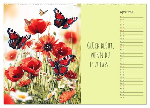 A Portion of Happiness – Motivational Calendar for the Whole Year (High-Quality Premium Wall Calendar 2026 DIN A2 Landscape), Art Print in High Gloss: Calendar with ... to Be Happy (CALVENDO