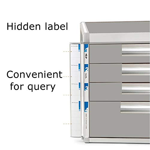 noxozoqm Desktop Drawer Cabinet Flat File Cabinet Storage, Desktop Drawer Cabinet, Aluminum Alloy Products, 4/5 Drawers Office Home Desk Supplies Lock Function. (Size : B)
