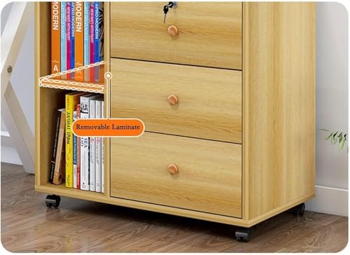 LILIUPEILONG Filing Cabinet with Lock - Mobile Data Storage, Suitable for Office and Home Organizations(B1)
