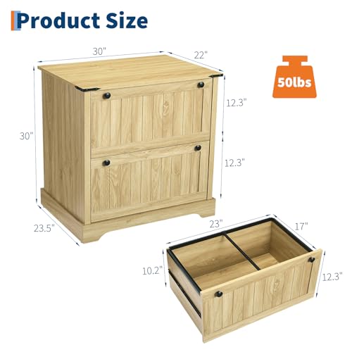 Hoguyexila 2 Drawer Farmhouse Lateral File Cabinet for Home Office