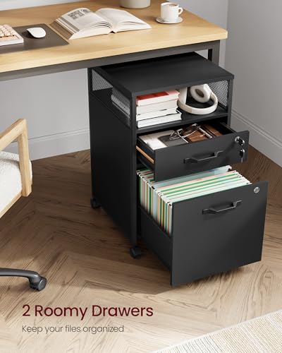 VASAGLE 2 Drawer File Cabinet with Lock, Rolling Printer Stand