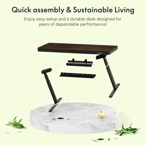 FLEXISPOT 55" Bamboo Standing Desk, Dual Motor 3 Stages Adjustable Height Electric Computer Workstation Wireless Charging, Drawer, Quick Install, 220lbs Capacity (Dark Bamboo Tabletop + Black Frame)