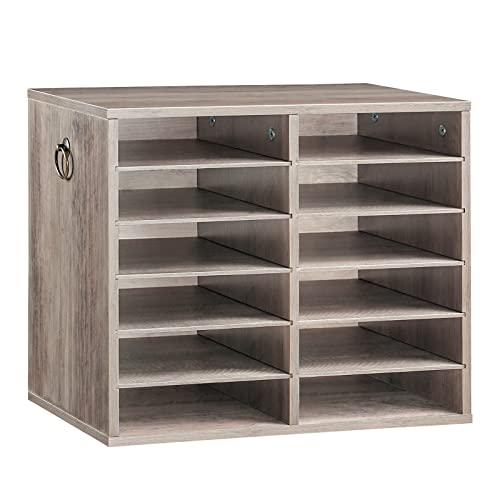HOOBRO Literature Organizers, 12 Compartments Office Mailbox with Adjustable Shelves, Wood Countertop Literature Sorter for Office, Home, Classroom, Mailrooms Organization Greige BG12WF01