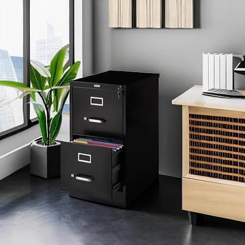 Staples 2-Drawer Vertical File Cabinet, Letter Size, Lockable, Black