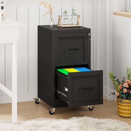GDNVBRDS 2-Drawer Rolling Metal File Cabinet with Lock, Narrow, Black
