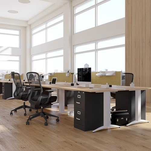 Staples 2-Drawer Vertical File Cabinet, Letter Size, Lockable, Black