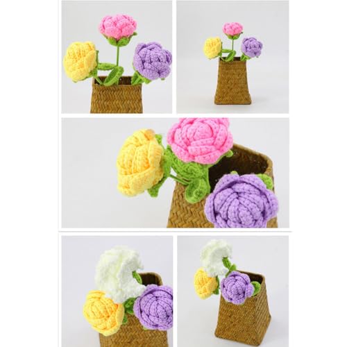lstyty Montessori Education Crocheted Rose Flowers Carnations Woven Flower Vase and Flower Holder Language Material