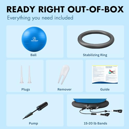 ProBody Pilates Yoga Ball Chair for Office - Resistance Bands, 65 cm, Blue