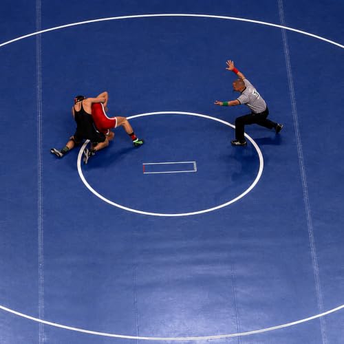 Meister Premium Wrestling Mat Tape - Clear - 3" x 84ft - 24 Rolls (Case)
