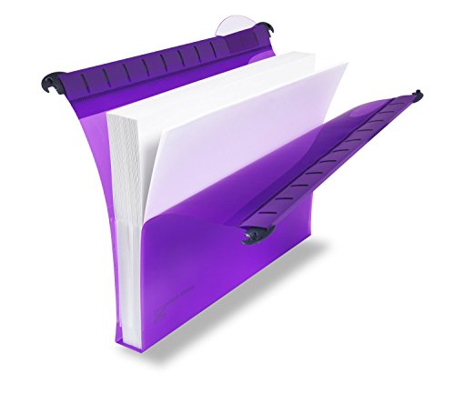 CRYSTAL A4 SECUR SUSP FILE 30MM AST PK10