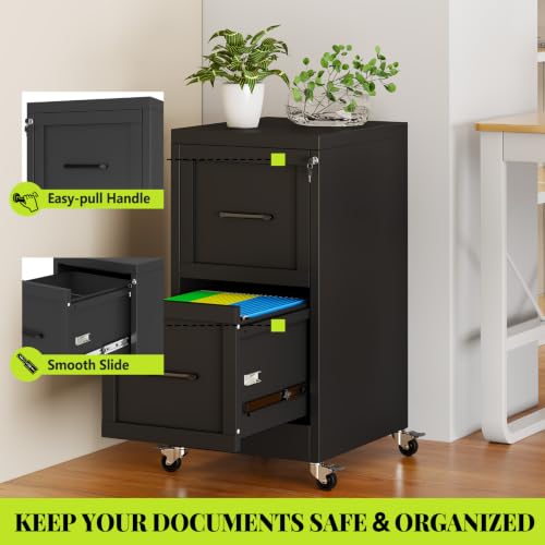 GDNVBRDS 2-Drawer Rolling Metal File Cabinet with Lock, Narrow, Black