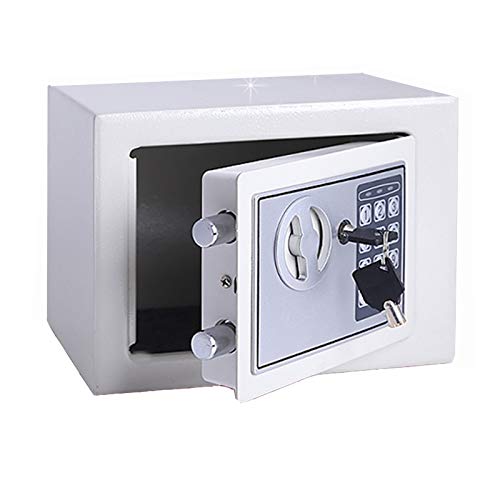 ntumLeap Safe 6L Safe Electronic Security Box Digital Password & Keys Combinatlock for Home Office Hotel Antitheft Wall Mounted Steel Safety Box/Gray Safe,White-A
