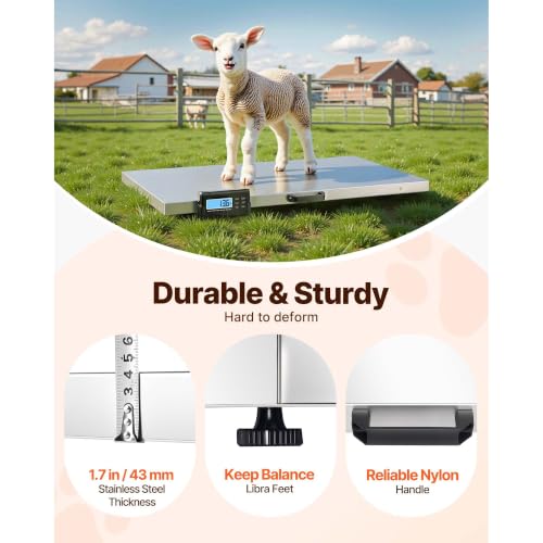 1100 lbs Capacity Digital Postal Scale Stainless Steel LCD 0.2 lbs