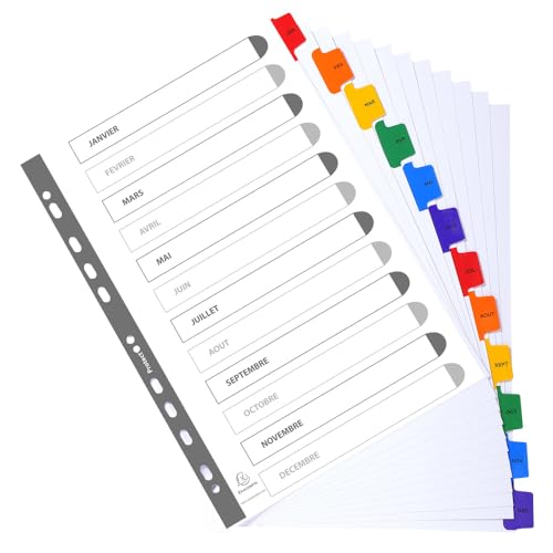 Exacompta - Ref 1113E - Box of 20 Indexes in white card 160g/m2 FSC® with 12 monthly printed tabs from January to December in colour - Printable index page - For A4 size