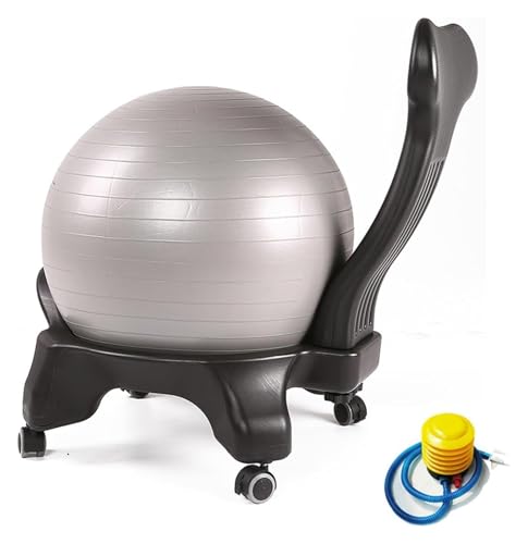 OneGrifN Yoga Ball Chair,Yoga Ball，Exercise Ball, Yoga Ball Chair Pregnancy Ball Chair with Air Pump Ergonomic Yoga Ball Seat for Adults Balance Chair with Back Support & Frame(Light Gray)