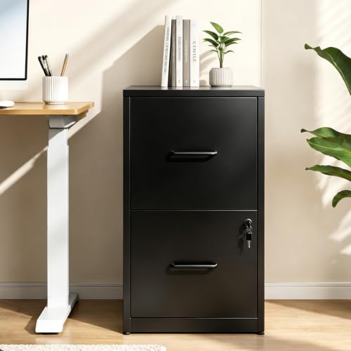 2 Drawer File Cabinet with Lock , Metal Lateral Filing Cabinet(Black)