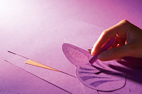 CANSON Mi-Teintes Assorted A3 Drawing Paper 160gsm Pastel Colours 10 Sheets