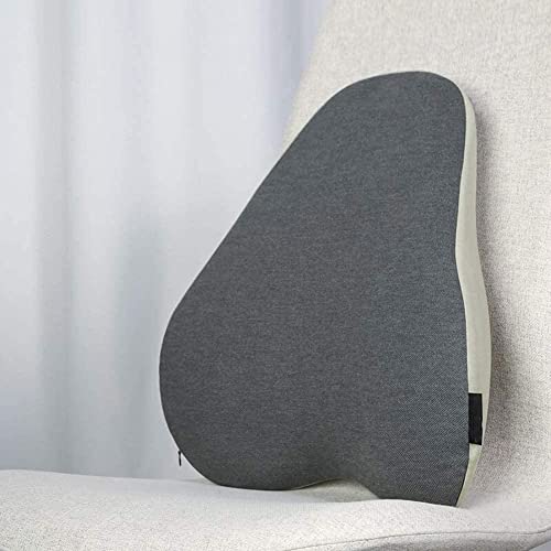 GIENEX Lumbar Support Pillow for Office Chair, Back Support Pillow, Fits The Waist Curve Memory Foam Back Cushion, Ergonomic Back Support Pillow for Car Seat, Wheelchair