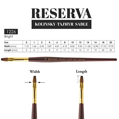 Escoda Art Products Escoda Reserva Series Artist Watercolor Short Handle Bright/Shader Paint Brush Size 8, Pure Kolinsky-Tajmyr