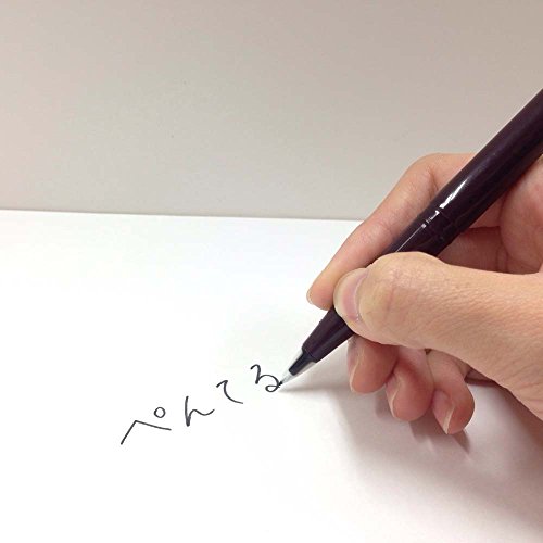 Pentel JM20-AD Plastic Sign Pen, Set of 10, Black