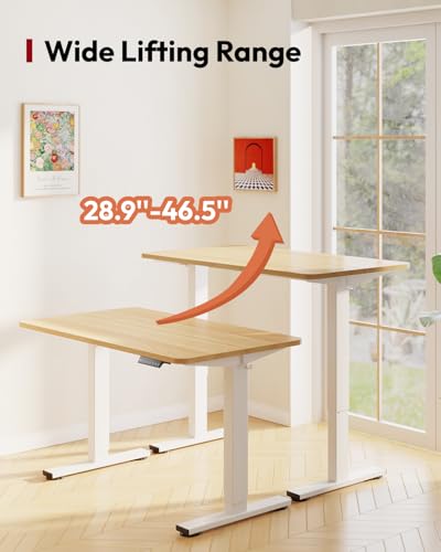 SANODESK 40''x24'' Height Adjustable Electric Standing Desk for Home Office