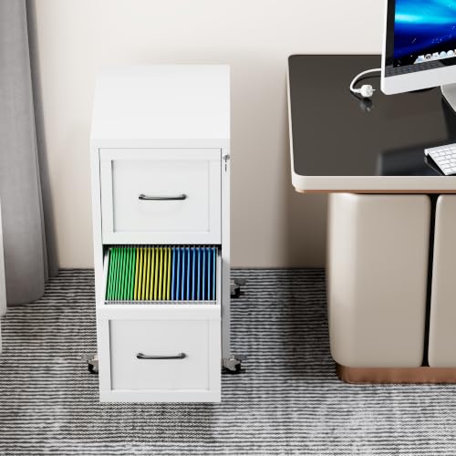 GDNVBRDS 2-Drawer Rolling Metal File Cabinet with Lock, Narrow, White
