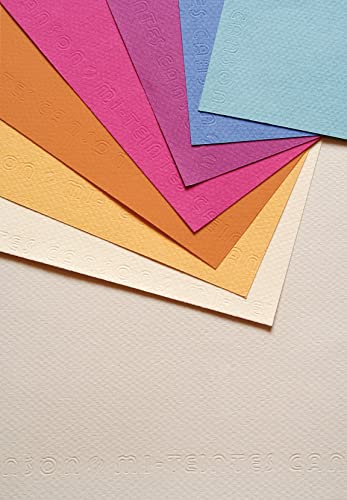 CANSON Mi-Teintes Assorted A3 Drawing Paper 160gsm Pastel Colours 10 Sheets