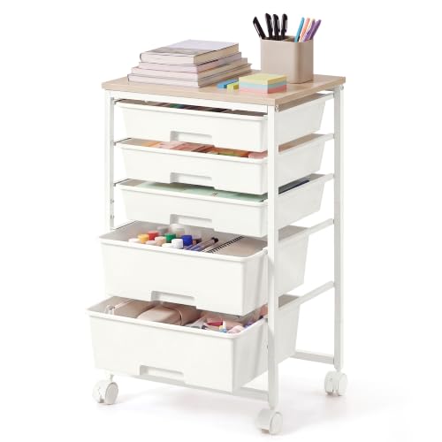 VASAGLE Rolling Cart with Drawers,5 Drawers Storage Cart, White