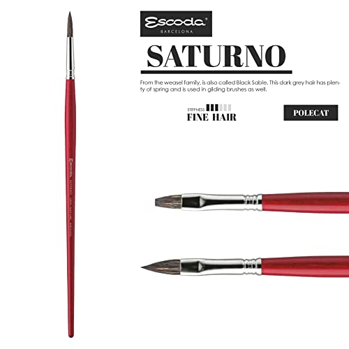 Escoda Saturno Series 3622 Artist Oil and Acrylic Paint Brush, Black Sable, Filbert, Size 20