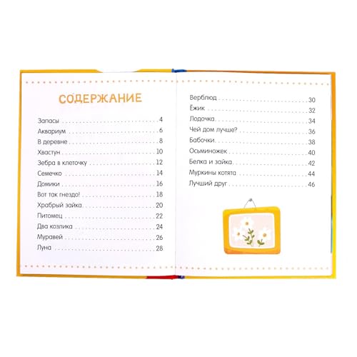 Reading Book for Kids in Russian Language Читаем сами 2 уровень 48 Pages Hard Cover Easy Texts Syllable Reading Learning to Read Russian Letters Words School Preparation