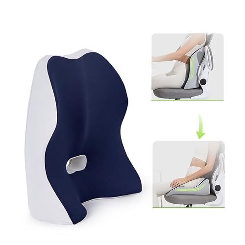 ICWRQLG Lumbar Support Cushion Seat Back Office Prolonged Sitting