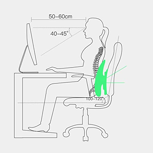 UIOLCFF Adjustable Car Chair Back Support Seat Lumbar Waist Cushion Ventilate Mesh Pad for Office Home