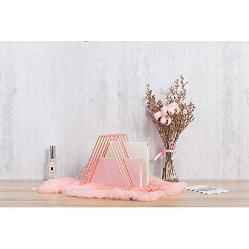 Files Folder Stand Desktop File Organizer,Triangle Copper Wire Book Shelf Magazine Rack, File Sorter Eye-catching Decoration for Indoor Office Home, Photography Props, Fashion (Rose Gold)