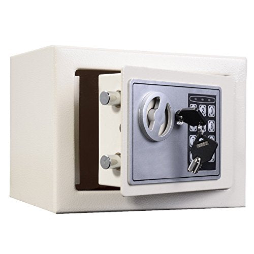 ntumLeap Safe 6L Safe Electronic Security Box Digital Password & Keys Combinatlock for Home Office Hotel Antitheft Wall Mounted Steel Safety Box/Gray Safe,White-A