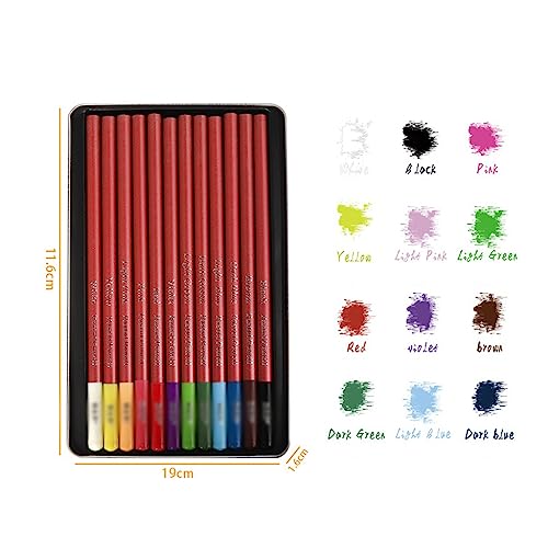 SIDUFHAOPKLL 12 Colour Carbon Pencils Set Iron Box Carbonized Drawing Writing Sketching Art