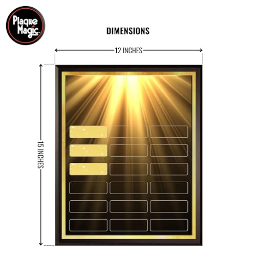 DIY Perpetual Plaque Award Kit | No Engraving Costs | Employee Recognition | Employee of The Month | Employee of The Year | Best of The Best | Achievement Awards (18 Plate, Sun Shining)