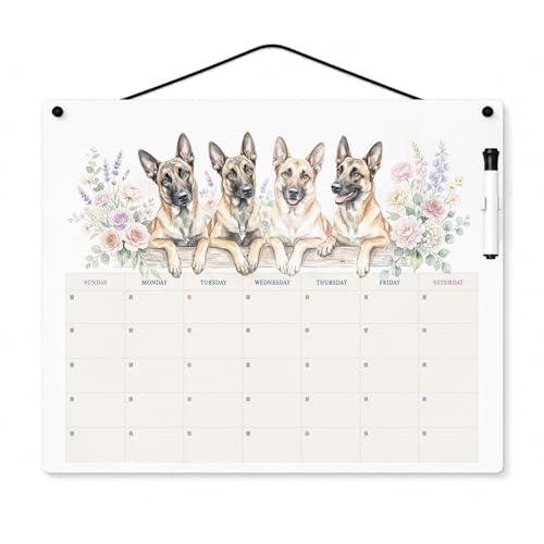 Caroline's Treasures Belgian Malinois Dry Erase Calendar Board, Reusable Monthly Wall Planner with Watercolor Artwork, Dry Erase Board for Home Office Kitchen Organization, 16x12