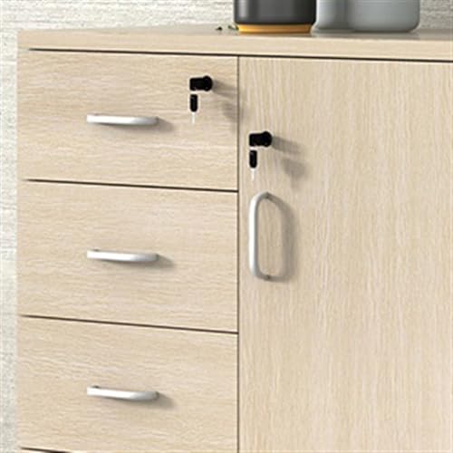 Cabinet File Cabinet Wooden Storage Cabinet One Door Four Storage Cabinets Data Storage Cabinet 80cm Office Filing Cabinet with CER