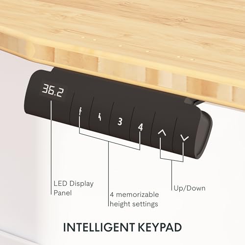 FlexiSpot E6 Bamboo 3-Stage Dual Motor Electric Standing Desk 55 x 28 Sit Stand Up Desk, Holds 220 lbs, Adjustable Height w/ Memory Presets, Solid Bamboo Curved Desktop & Black Frame, Ships in 2 Boxes