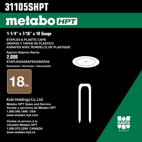 Metabo HPT 31105SHPT 18 Ga Galvanized Cap Staples 7/16" Crown 1-1/4" x 18Ga EG Staple & Plastic Cap | 2000 Count