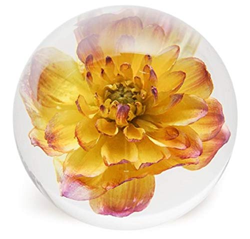 Dynasty Gallery FloraCulture paperweight YELLOW DAHLIA
