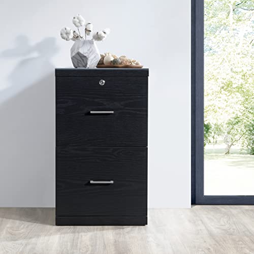OSP Home Furnishings Alpine 2-Drawer File Cabinet with Locking Top Drawer and Lockdowel Fastening System, Vertical, Black