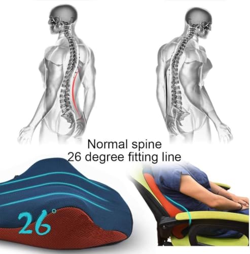 EZLQGBWKPDT Backrest cushion - Suitable for waist support of office chairs, car seat backs, memory foam cushions, washable outer cover