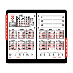 AT-A-GLANCE Burkhart's Day Counter Desk Calendar Refill 2015, 4.5 x 7.38 Inch Page Size (E712-50)