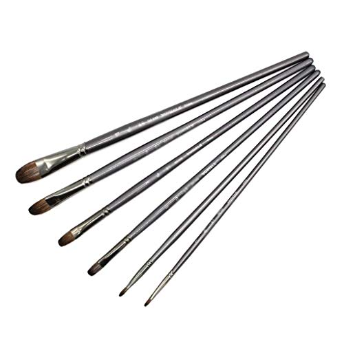 HBJWOV 6 pcs/Set Professional Tool Squirrel Hair Oil Painting Brush Drawing Brush Filbert Pen for Acrylic Painting Art