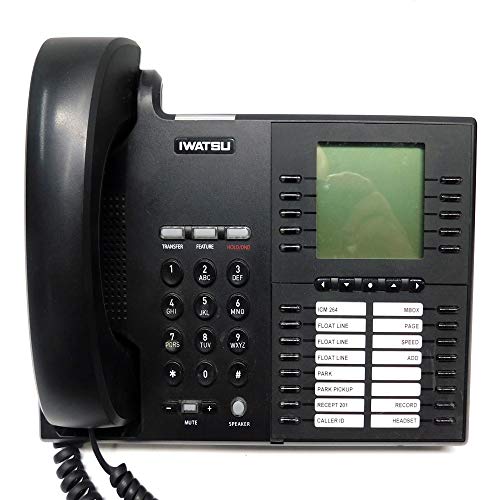 Iwatsu Icon IX-5910 IP Telephone